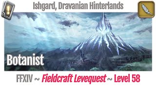 FFXIV Botanist Leves Level 58  Ishgard Dravanian Hinterlands  Heavensward [upl. by Neladgam]