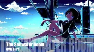 Owl City  The Saltwater Room Nightcore [upl. by Eiznikam231]