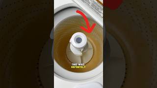 I Saved This Washing Machine cleaning satisfying cleaningtips [upl. by Nelleeus]