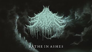 FATHOM  BATHE IN ASHES NEW SINGLEOFFICIAL LYRIC VIDEO  2023 [upl. by Pik528]