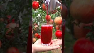 This fruit juice make you more healthy 🍊🥭🥭🍓🍎shorts nature fruit [upl. by Alexia]