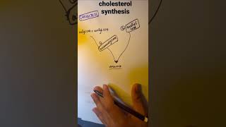 BIOCHEMISTRYCHOLESTEROL SYNTHESIS MNEMONICS [upl. by Stringer]