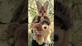 New stuffed animals 🐾°♡•💛 stuffedanimals stuffedtoys style therian antizoo [upl. by Cyndy]