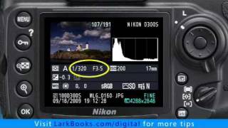 Nikon D300s How to Use Exposure Compensation [upl. by Oona]