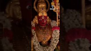 Peddamma Talli Harati peddammatemple devotional traditional trendingshorts [upl. by Nerek]