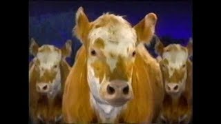 Colorado State Fair Commercial 2000 [upl. by Airamahs505]