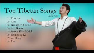 Tibetan Songs from Tibet བོད་ནང་ནས་བཏང་བའི་བོད་གཞས། [upl. by Zara212]