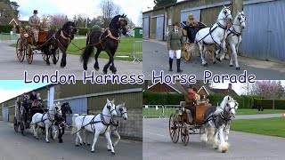 London Harness Horse Parade Ardingly 2024 [upl. by Neri]