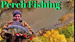 Fishing for Perch on a Small river [upl. by Dotty]