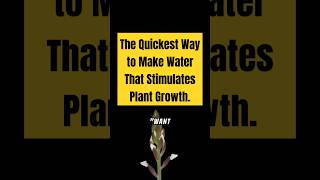 The Quickest Way to Make Water That Stimulates Plant Growth gardening101 sustainablegardening [upl. by Clint509]