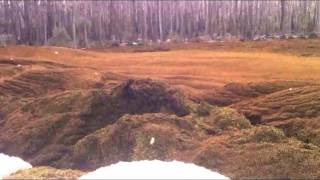 Salvinia Over The Spillway [upl. by Ridgley]