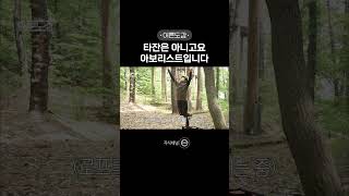 동네 사람들 여기 좀 보세요 나무에 사람이 매달려 있어요 [upl. by Kaile]