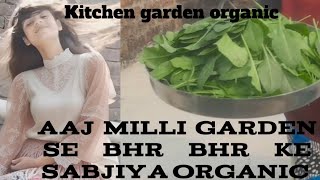 aaj hune💥 garden🌿 se bhr bhr ke🌿 family vlog official [upl. by Ennovihc]