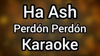 karaoke Ha Ash Perdón Perdón [upl. by Eanyl172]