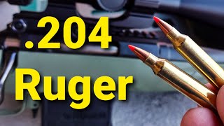 204 Ruger Shoots SO FLAT [upl. by Nanam]