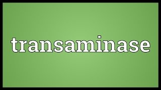 Transaminase Meaning [upl. by Veal549]