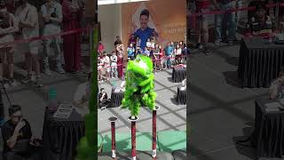 马来西亚玄龙 Malaysia Xuan Long Lion Dance Practice vs Competitionacrobaticliondance [upl. by Hayne154]