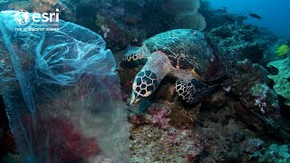 How microplastic pollution affects marine life [upl. by Annaer]