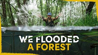 One year ago we flooded a forest  the results are insane [upl. by Phia]