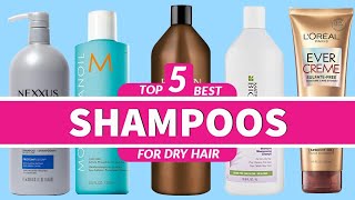 5 Best Shampoos for Dry Hair in 2023 [upl. by Negriv380]