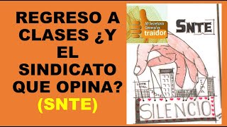 Soy Docente REGRESO A CLASES ¿Y EL SINDICATO QUE OPINA [upl. by Norford]