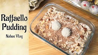 Raffaello Pudding  New Rich n Creamy Pudding  Nahee Vlog 28 [upl. by Sierra]