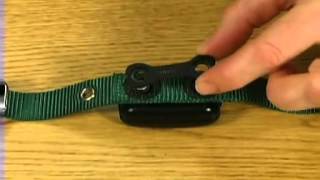 DogWatch®  How does the receiver attach to the collar [upl. by Eerac]