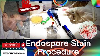 The Endospore Staining Procedure hereditybioacademy7062 microbiology [upl. by Marice]