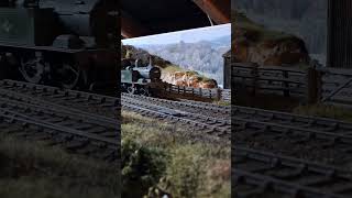 Short freight Wharf sidings modeltrains ogauge dapol hobby modelrailway [upl. by Rafaj]