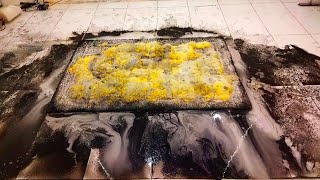 Deepest cleaning with New Method lll satisfying carpet cleaning ASMR [upl. by Nojram]