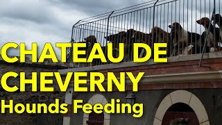 Feeding of hounds at Château de Cheverny France [upl. by Ppilihp]