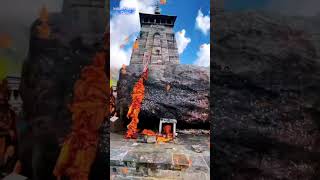 Mahadev Statusstatus music song youtubeshorts bhakti bholenath mahadev ytshorts [upl. by Fredelia]