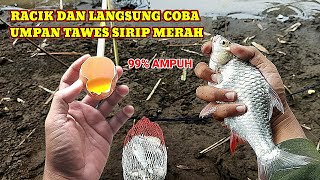 RACIKAN UMPAN IKAN TAWES SIRIP MERAH‼️SUPER JITU [upl. by Aciruam]