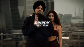 Drippy  Slowed  Reverb   Sidhu Moose Wala  Mxrci  AR Paisley [upl. by Monjan]