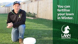 Can you fertilise your lawn in Winter [upl. by Geoffry]