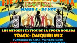 RETRO MIX  DAIQUIRI MIX  MARIO J [upl. by Laing]