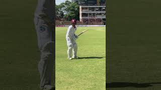 👏 Class Act  Tagenarine Chanderpaul Practices Before Majestic 207 Not Out vs Zimbabwe shorts [upl. by Tija119]