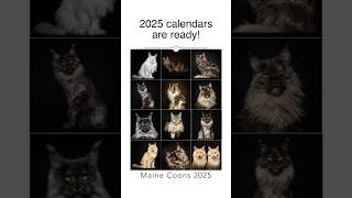 2025 calendars are ready [upl. by Ahsimac]