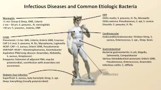 Bacterial Etiologies of Common Infections Antibiotics  Lecture 2 [upl. by Ralph]