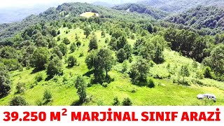 SATILIK 39250 M2 MARJİNAL TARIM RUHSATI ALINMIŞ YOLA CEPHE TARLA FİYAT 3 MİLYON 05397836800 [upl. by Stovall660]