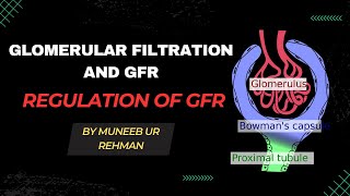 Glomerular Filtration And GFR  Regulation of GFR  Renal Physiology [upl. by Alysia]