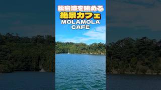 絶景‼︎松島湾を眺められるカフェMOLAMOLA CAFE【仙台グルメ】 [upl. by Royce]