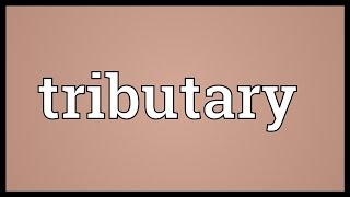 Tributary Meaning [upl. by Bibby267]