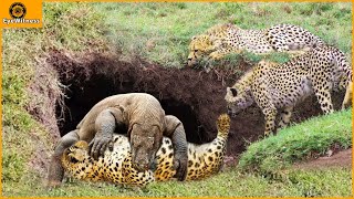 45 Incredible Clash Of Komodo Dragon VS Leopard Buffalo Lion Crocodile And A Surprise Ending [upl. by Anner217]