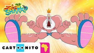 Dad and the Magic Slides  Zig amp Sharko  Cartoonito Africa [upl. by Melly]