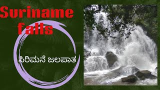 Sirimane water falls Agumbe ghat Season of retreating monsoonBest places to Visit Weekend Vacation [upl. by Calandria]