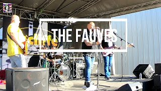 The Fauves  Anti Social [upl. by Charlton]