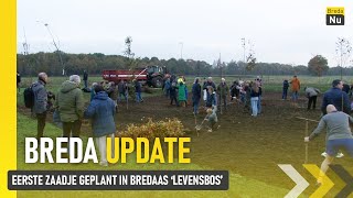 Eerste zaadje geplant in Bredaas Levensbos  Breda Update [upl. by Nyleaj]