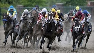 2009 Preakness Stakes [upl. by Nasia]