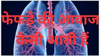 breathing sound  breath sound auscultation breath sound kaisa hota hai  complete breath sound🔊 [upl. by Manus]